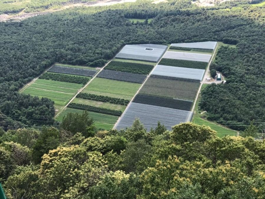 Panoramica valtartano società agricola