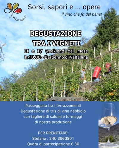 Degustazione tra i vigneti Berbenno