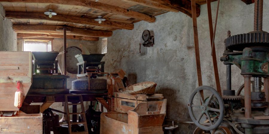 mulino mazza delebio patrimonio