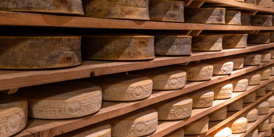 formaggi valtellinesi