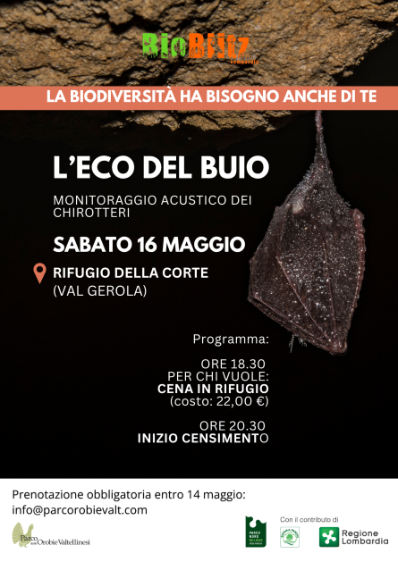 Monitoraggio acustico dei chirotteri in occasione di BioBlitz