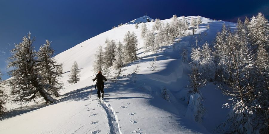 cima rosetta inverno