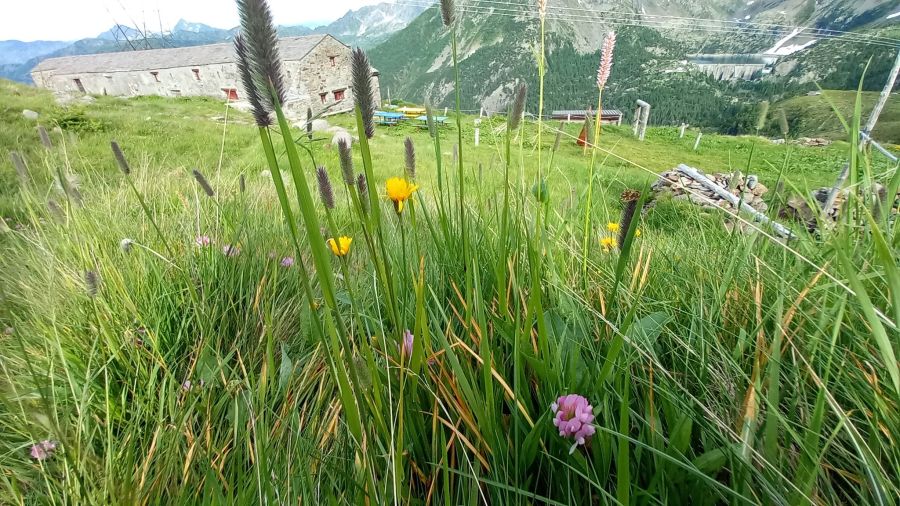 Rifugio Trona soliva