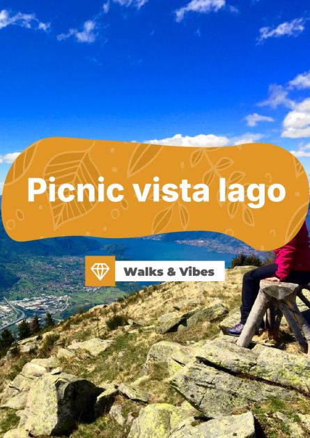 picnic vista lago