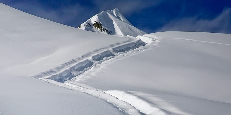 scialpinismo ciaspolata tartano
