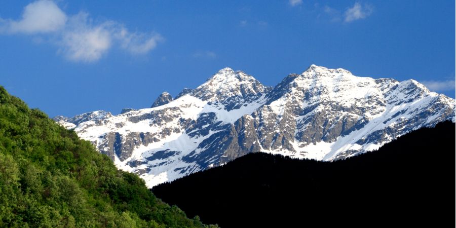 foresta regionale val lesina