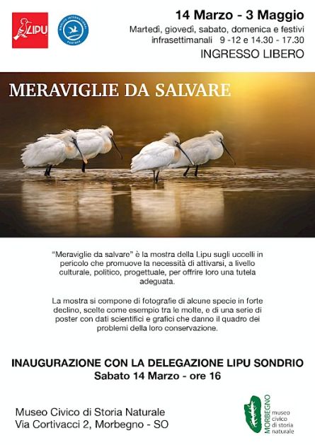 Mostra fotografica LIPU sugli uccelli in pericolo
