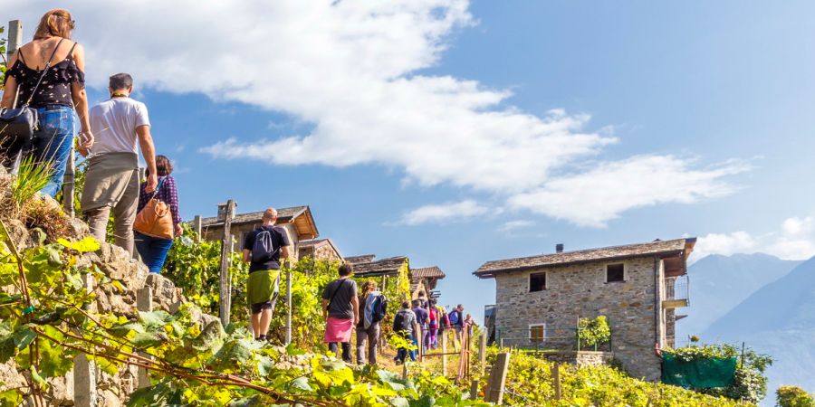 escursionisti sui terrazzamenti della costiera dei cech