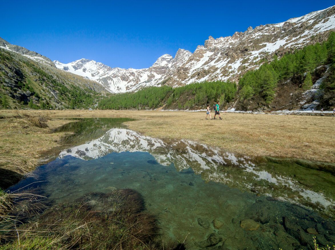 Cicloitinerario filorera predarossa val masino