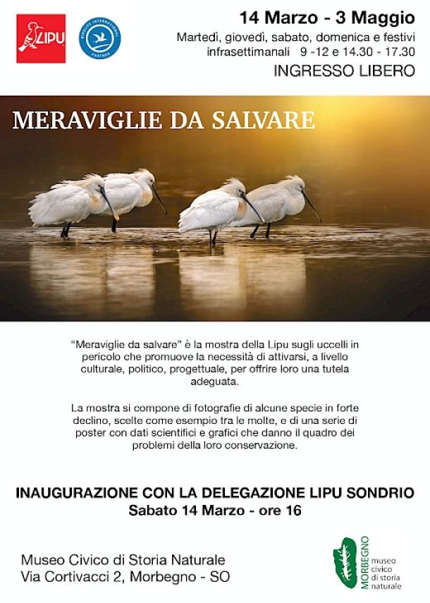 Mostra fotografica LIPU sugli uccelli in pericolo