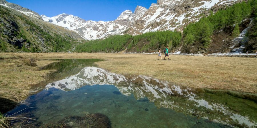 Cicloitinerario filorera predarossa val masino