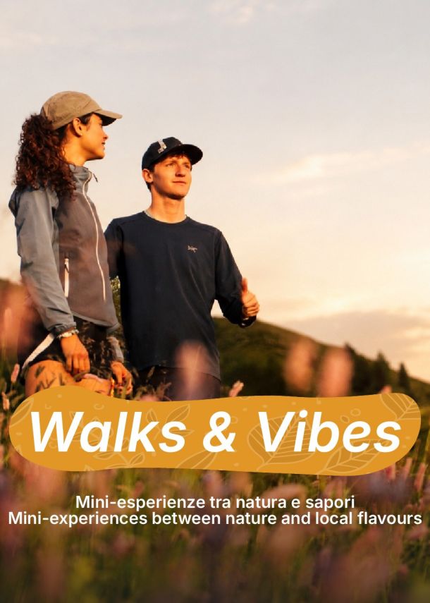 walks & vibes