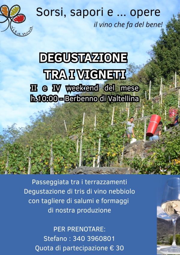 Degustazione tra i vigneti Berbenno