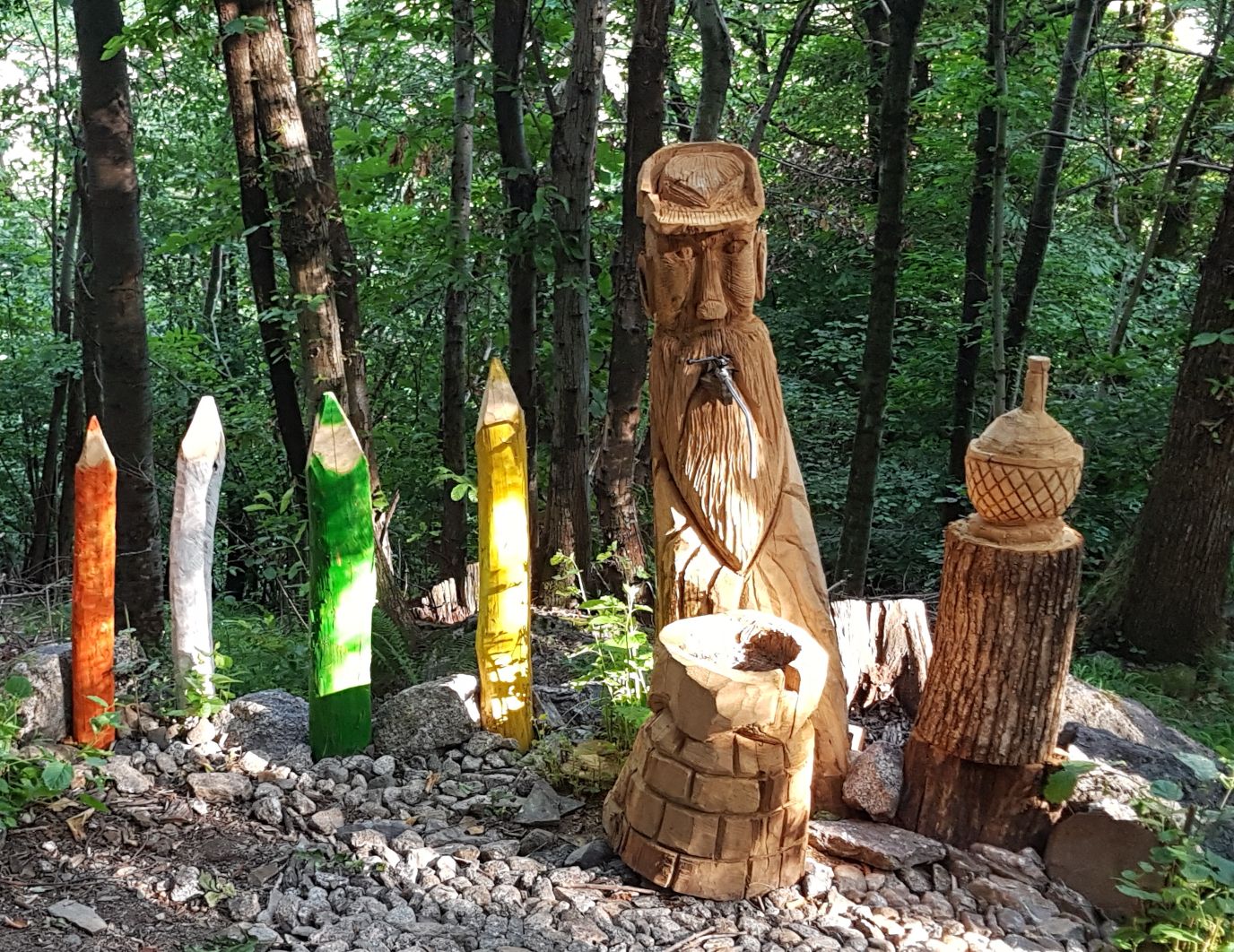 Bosco Co Vivo costiera dei cech