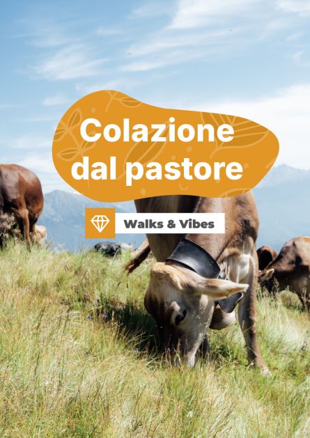 colazione del pastore